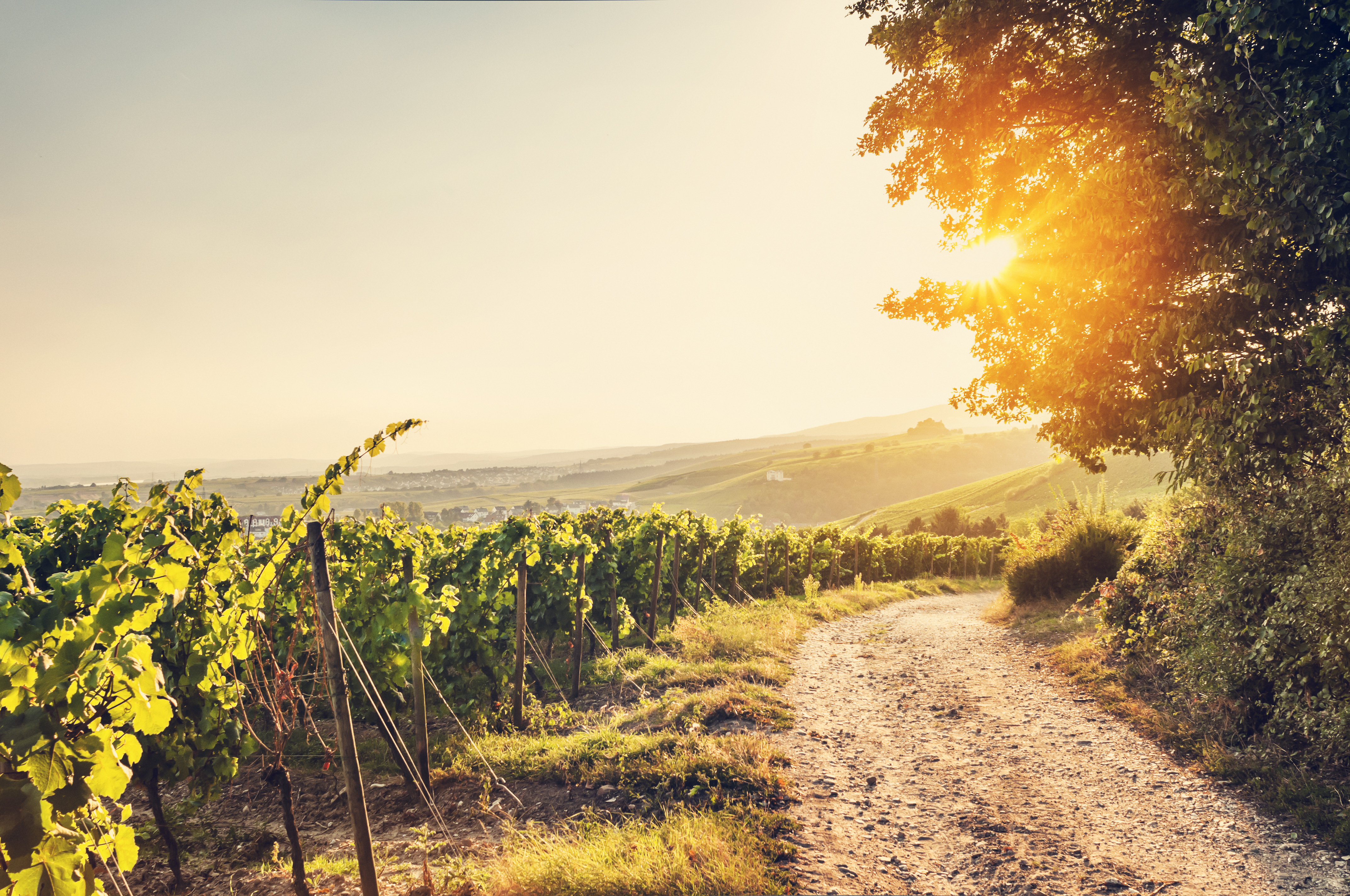 Unsere Heimat. Unsere Energie.